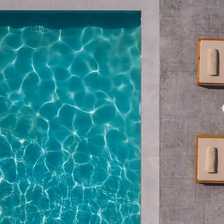 Olive βay فيلة *