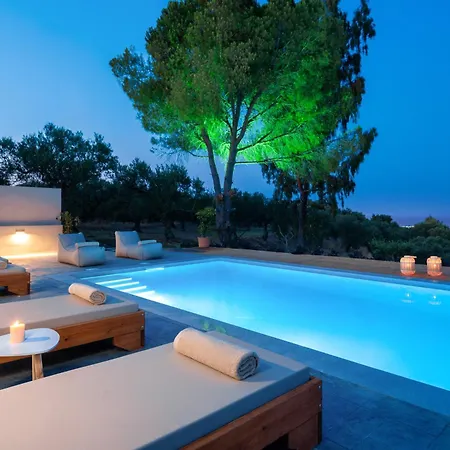 Oliveβayvilla *