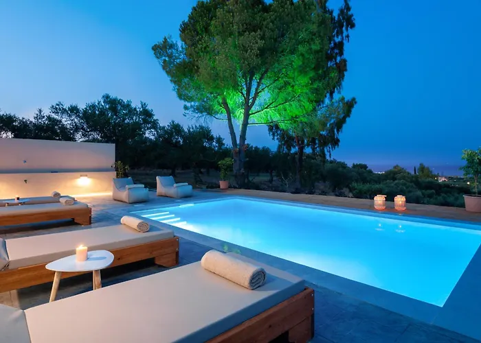Oliveβayvilla *