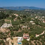Oliveβayvilla
