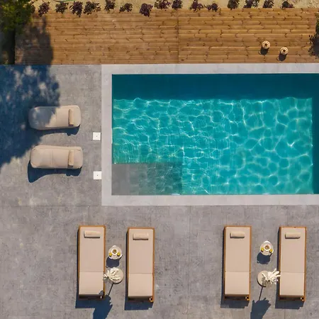 Oliveβayvilla Tragaki
