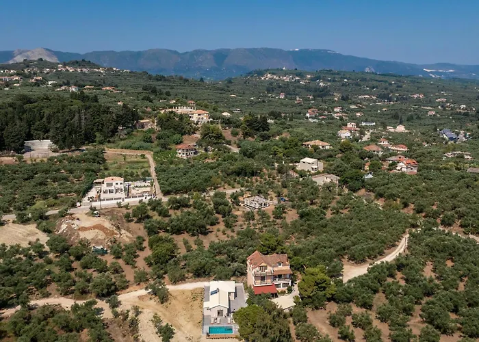 Oliveβayvilla